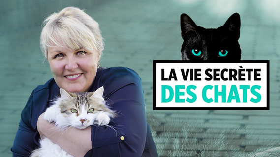 Replay La vie secrete des chats - Vendredi 26 juillet 2019