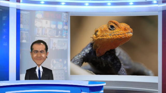 Replay Kanal La Blague - Mercredi 23 novembre 2016