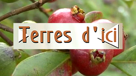 Replay Terres d’ici - Lundi 12 mars 2018