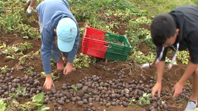 Replay Terres d’ici - Dimanche 21 août 2016