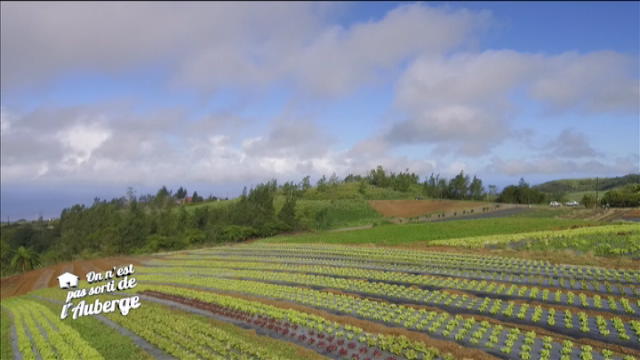 Replay On n’est pas sorti de l’auberge - Dimanche 18 juin 2017