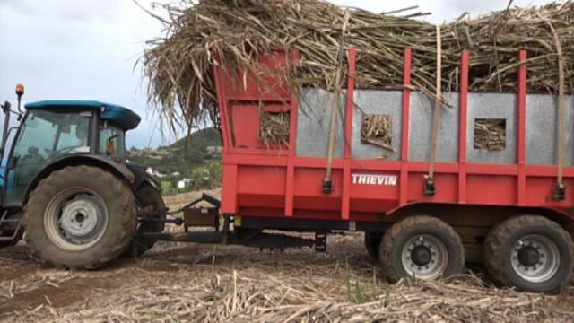 Replay Terres d’Ici - Jeudi 05 octobre 2017