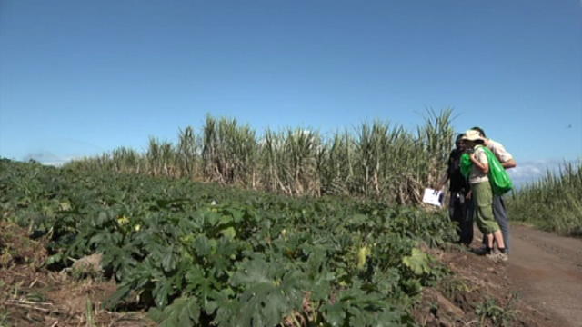 Replay Terres d’Ici - Samedi 08 juillet 2017